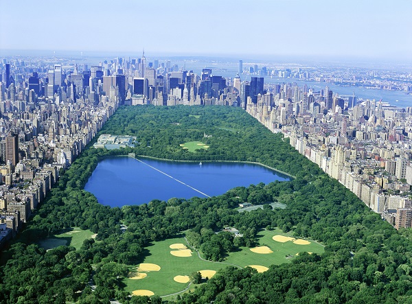 Central Park in NYC | 123WeddingCards